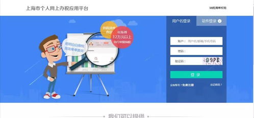 自然人稅收管理系統(tǒng)客戶端生產(chǎn)經(jīng)營申報(bào)操作與信息系統(tǒng)運(yùn)行維護(hù)服務(wù)指南